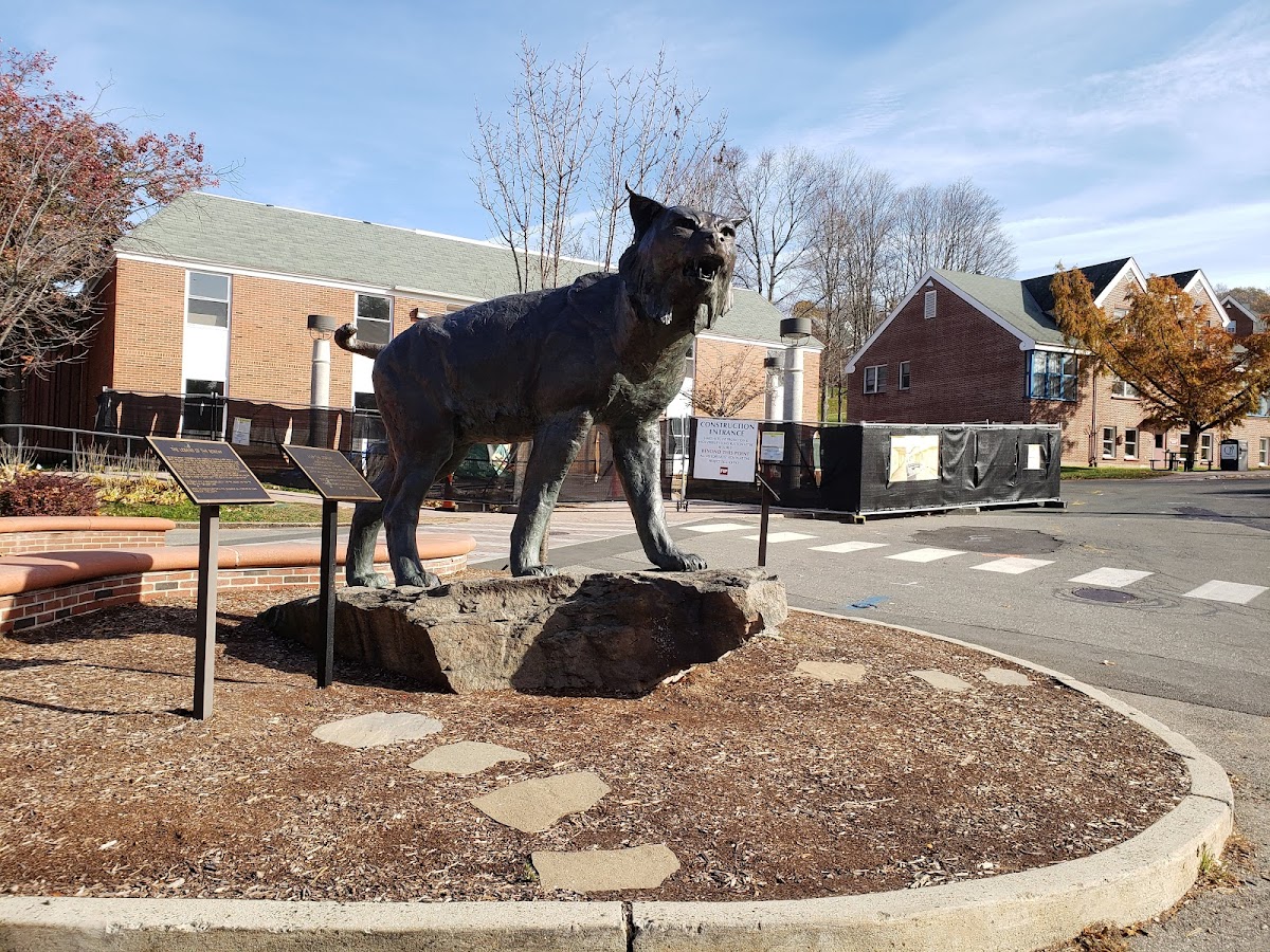 Quinnipiac University photo 5