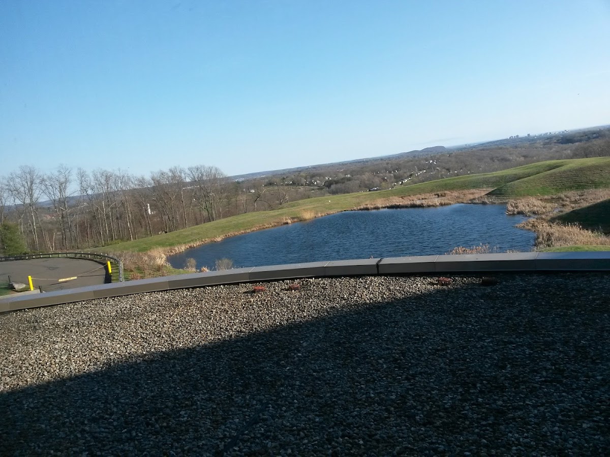Quinnipiac University photo 7