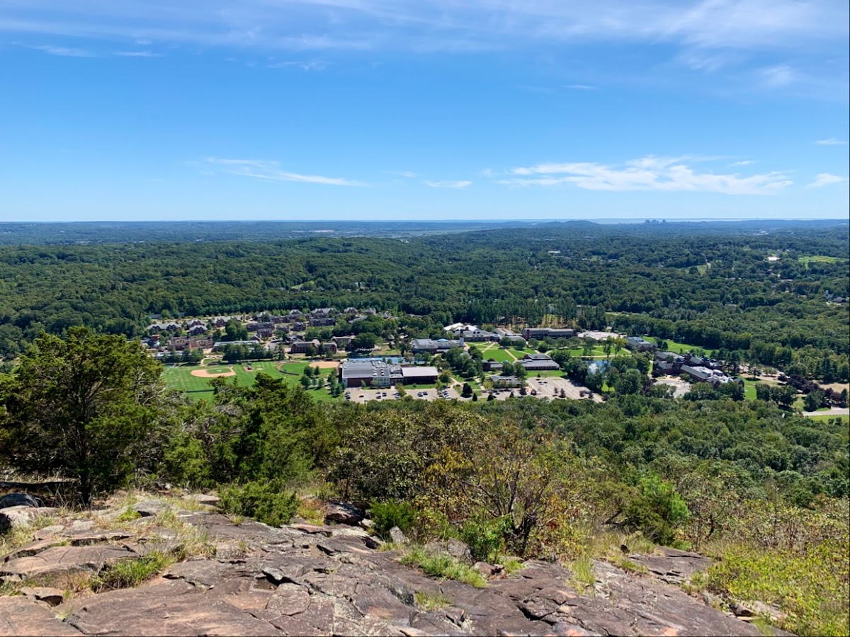 Quinnipiac University photo 8