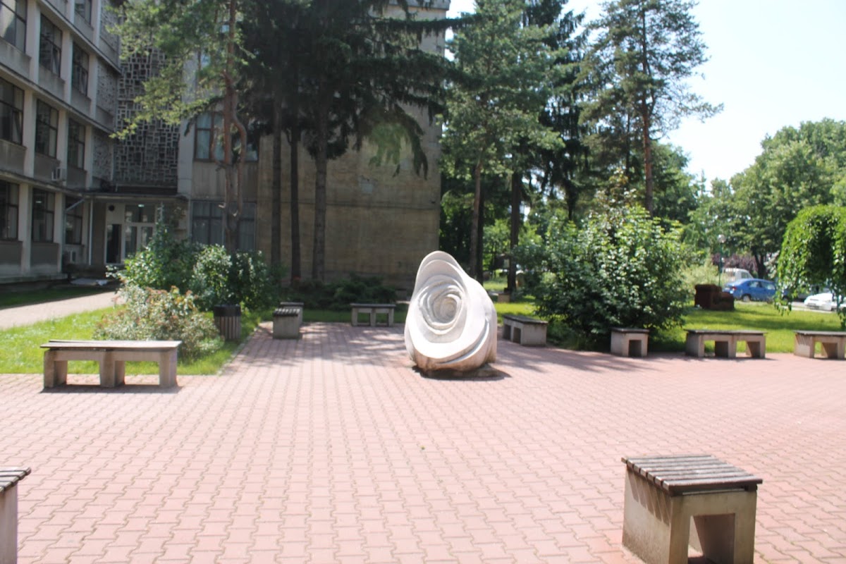 West University of Timișoara photo 3