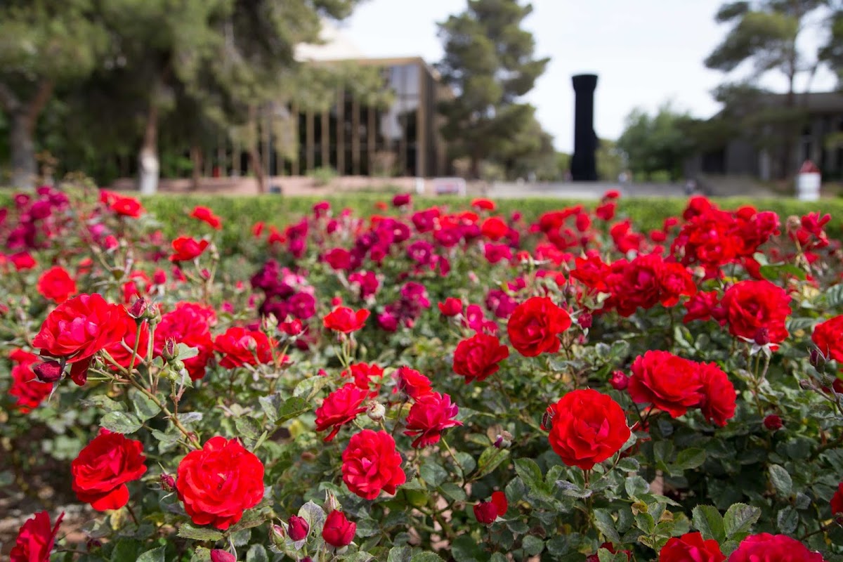 UNLV photo 5