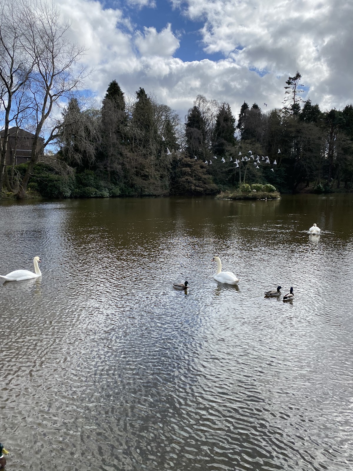 Heriot-Watt University photo 5