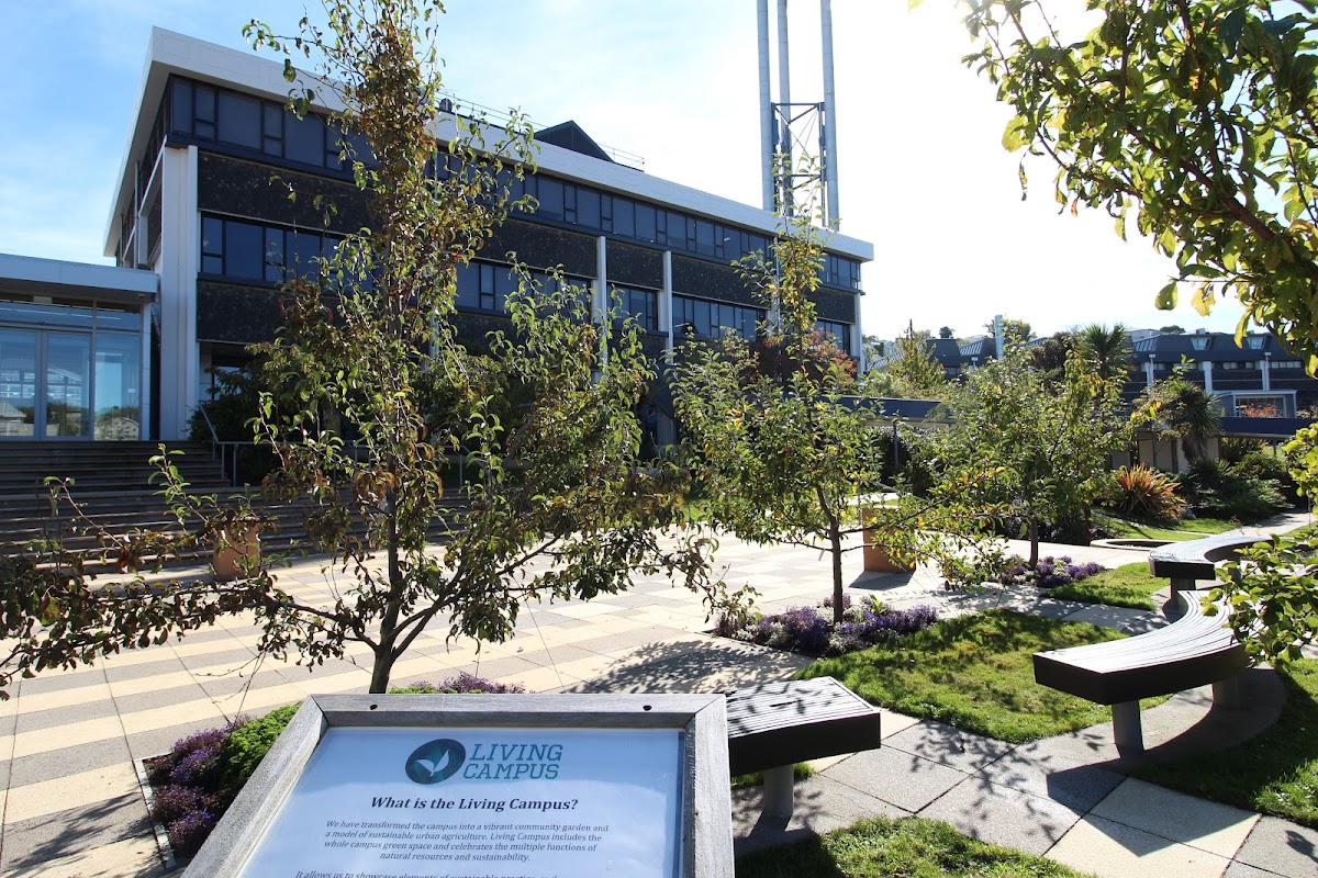 Otago Polytechnic photo 6