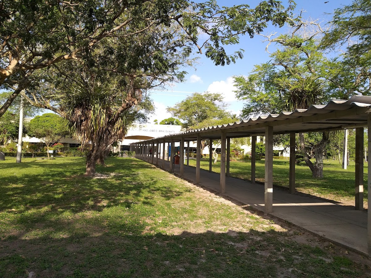 Federal University of Sergipe photo 2