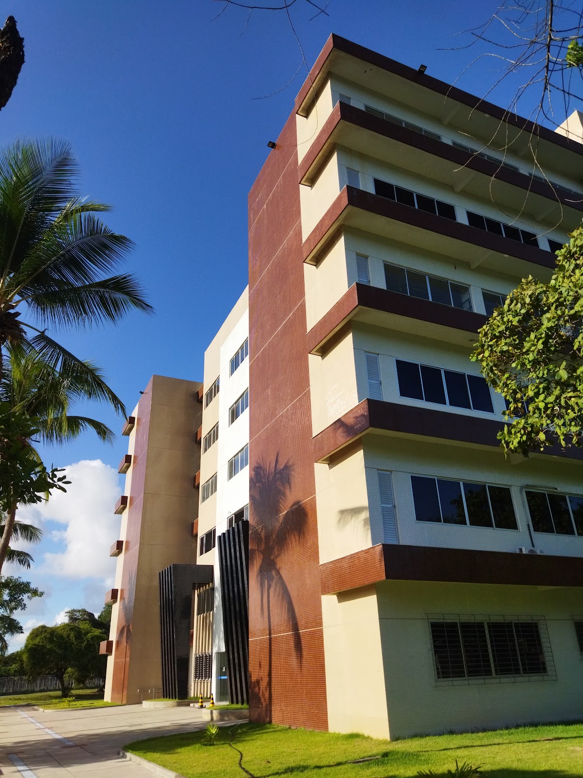 Federal University of Sergipe photo 9