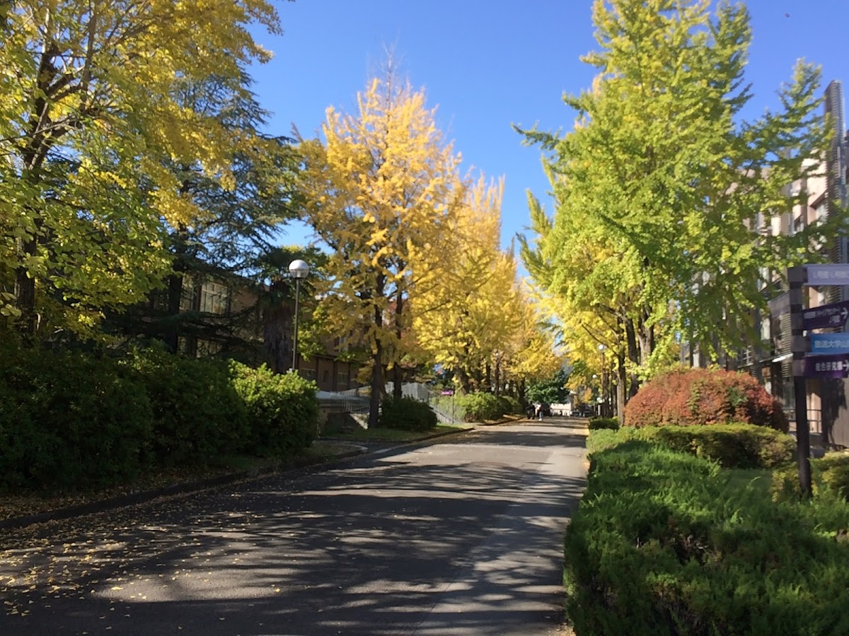 University of Yamanashi photo 3