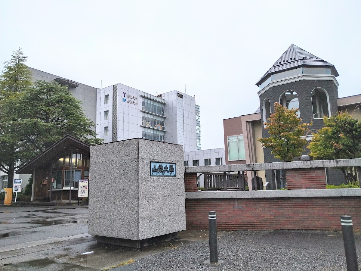 University of Yamanashi photo 4