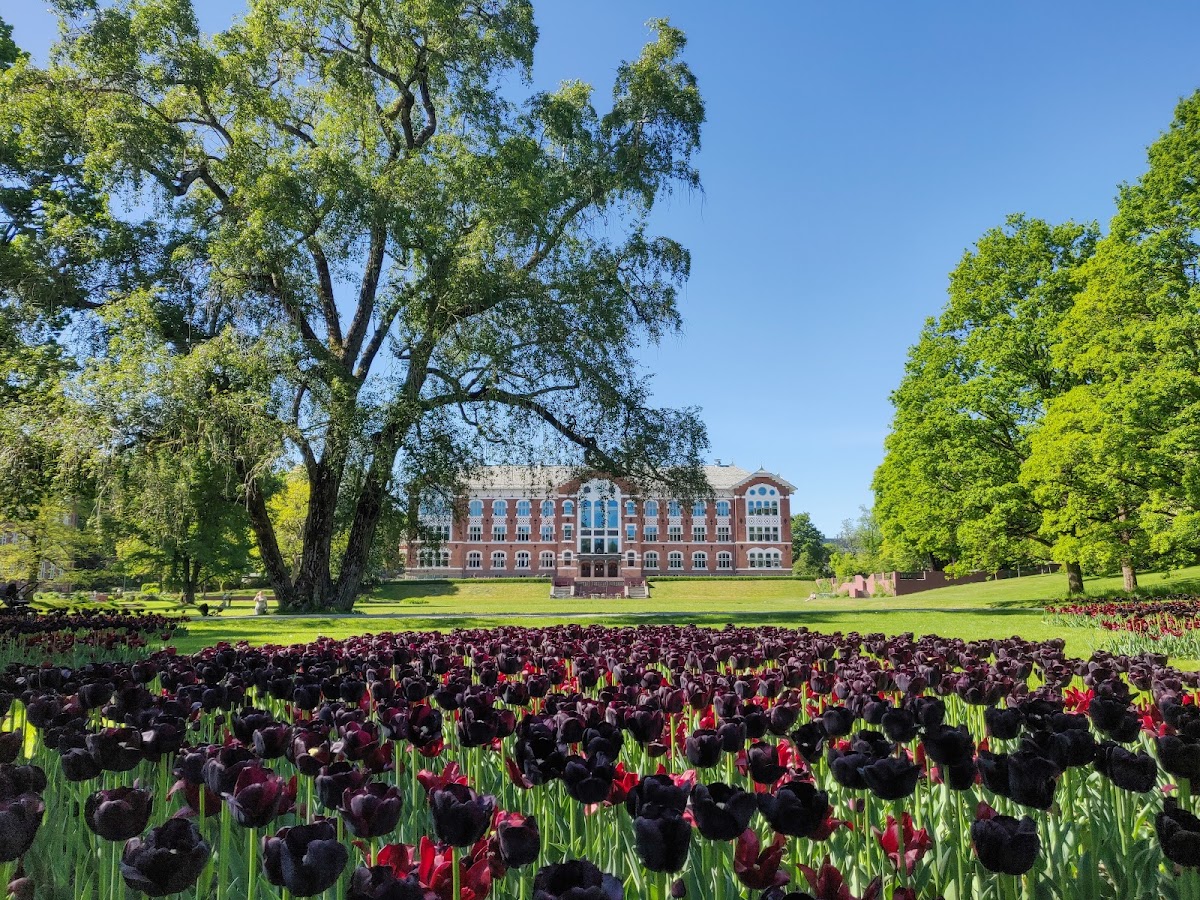 Norwegian University of Life Sciences (NMBU) photo 1