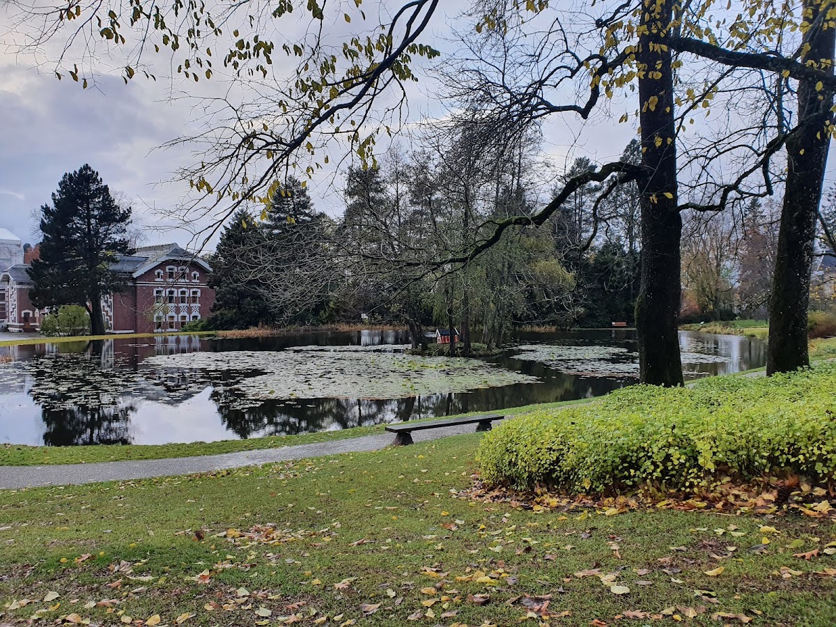 Norwegian University of Life Sciences (NMBU) photo 3