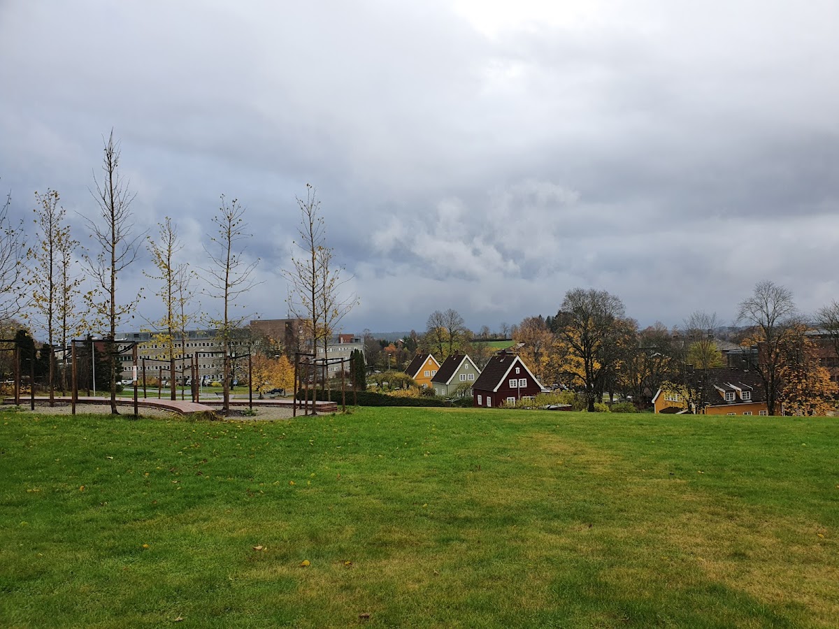 Norwegian University of Life Sciences (NMBU) photo 5