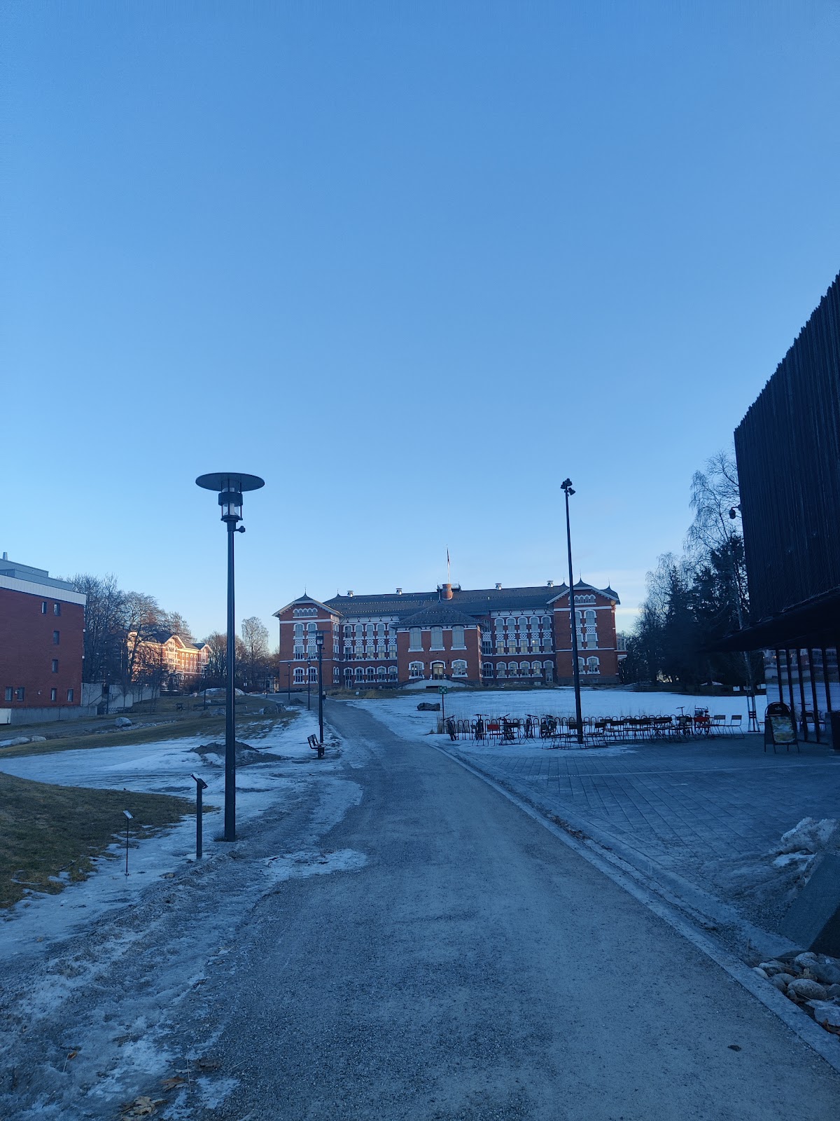 Norwegian University of Life Sciences (NMBU) photo 8