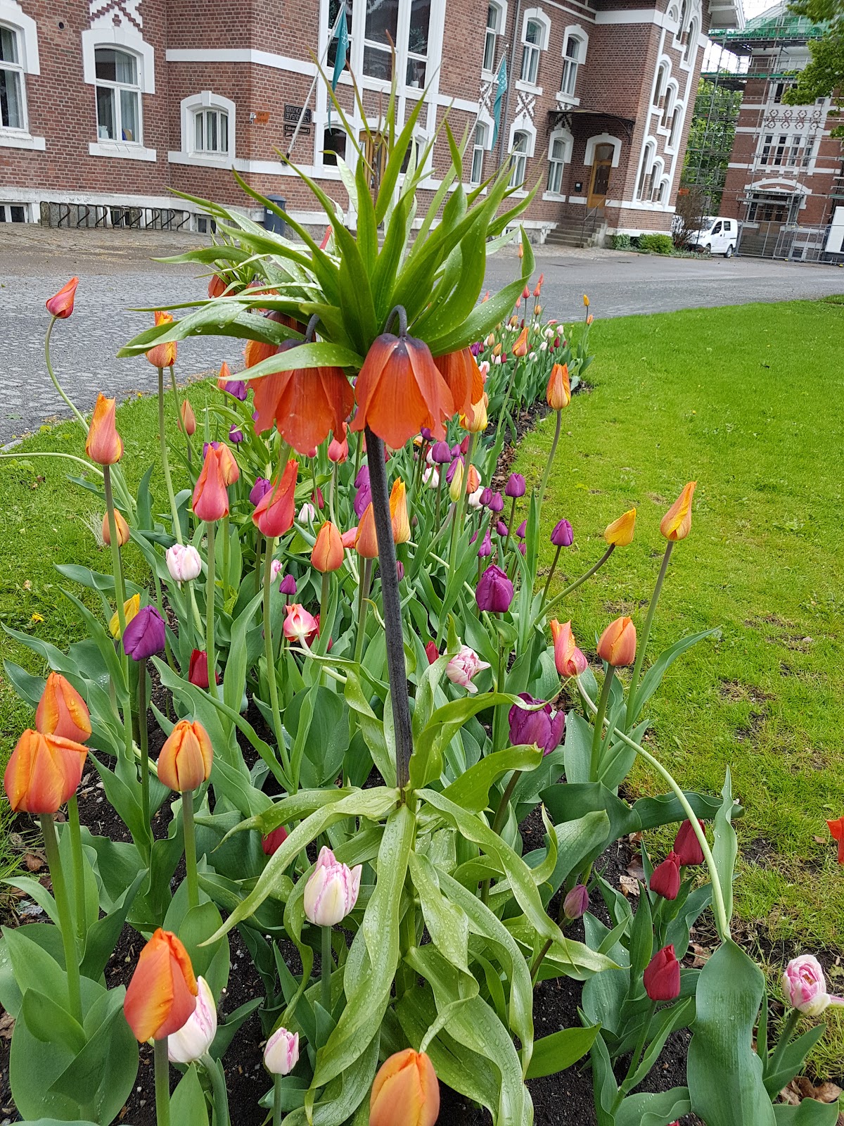 Norwegian University of Life Sciences (NMBU) photo 9