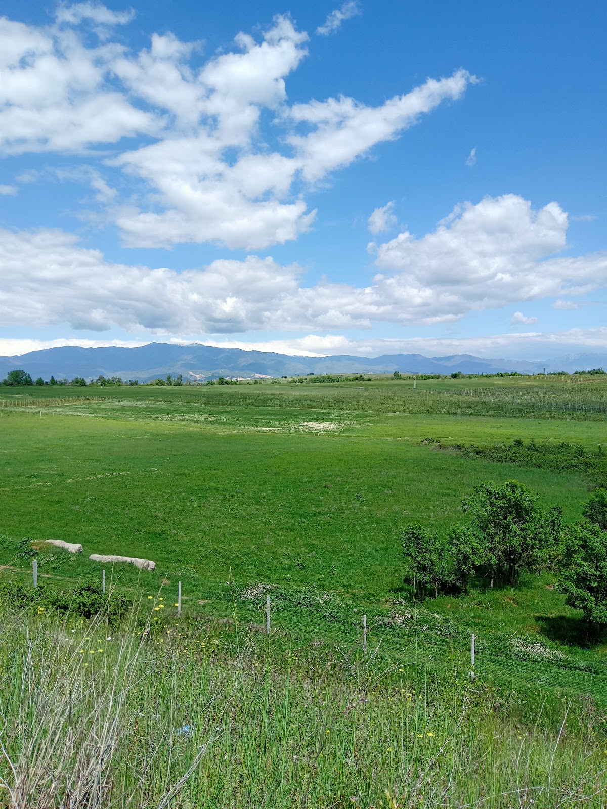 Varna University of Management photo 6