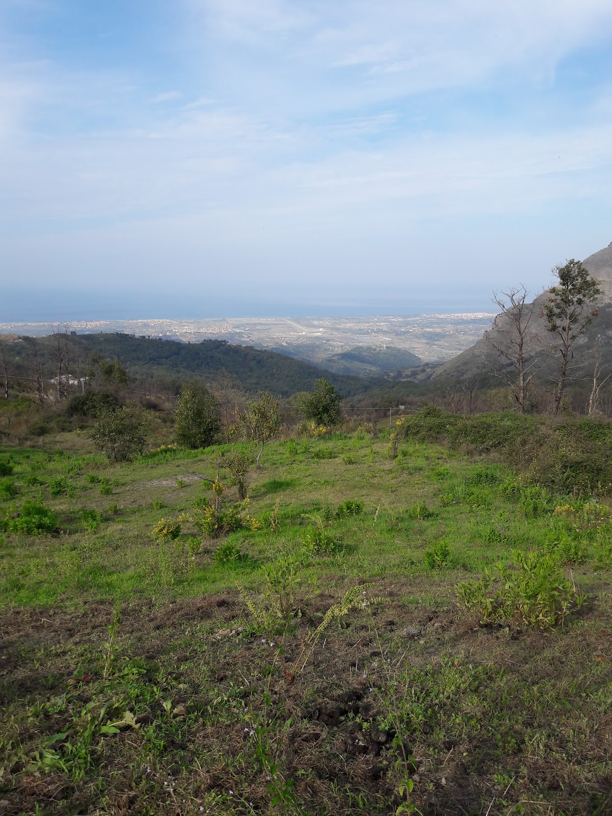 Varna University of Management photo 7