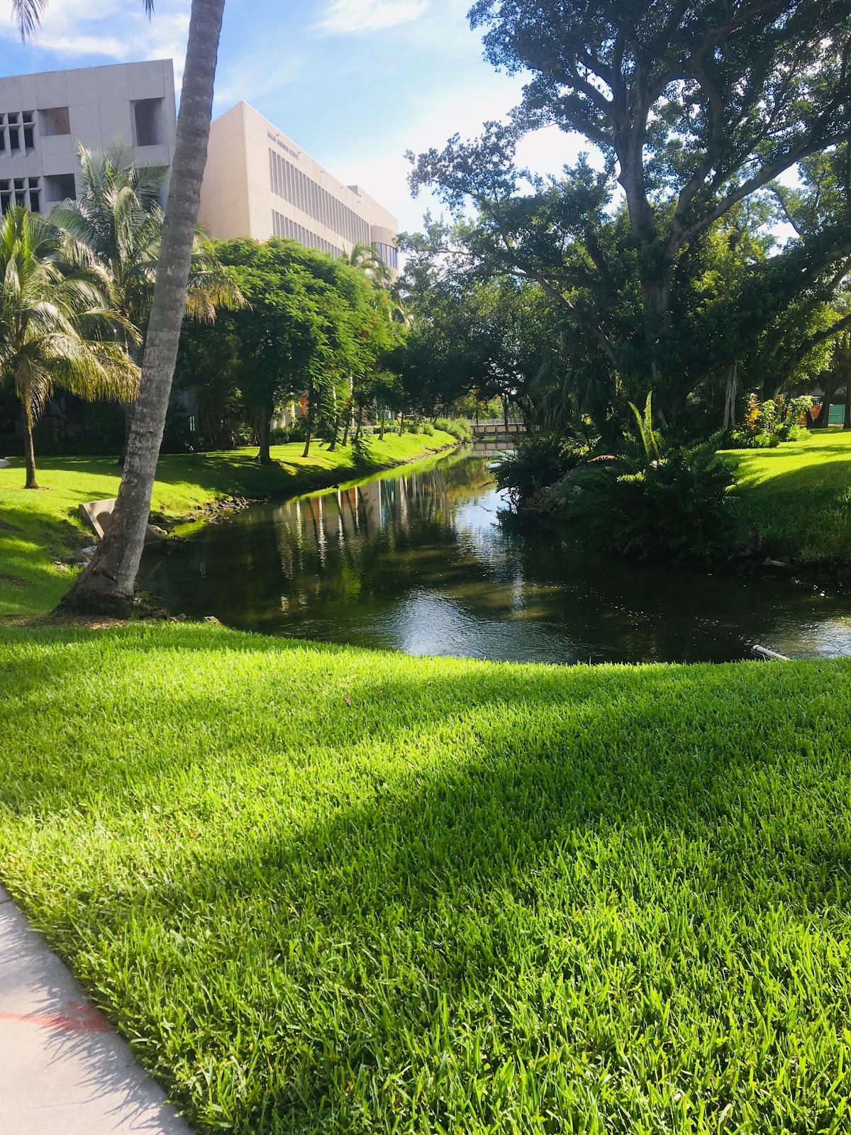 Institute of Technology 3068 photo 9