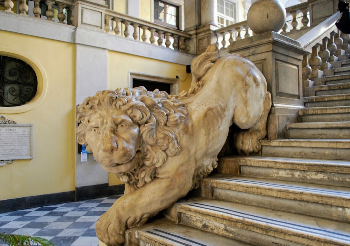 University of Genoa photo 3