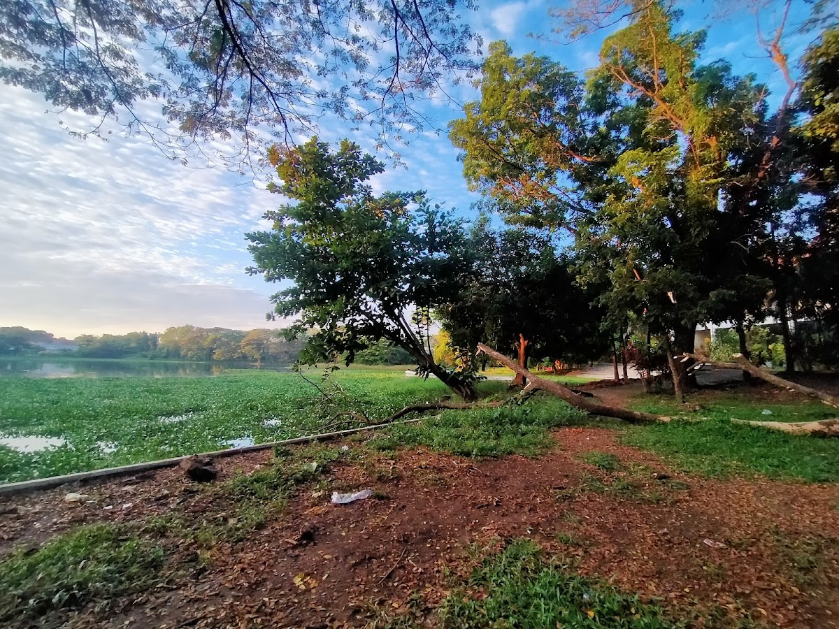 Hasanuddin University photo 4