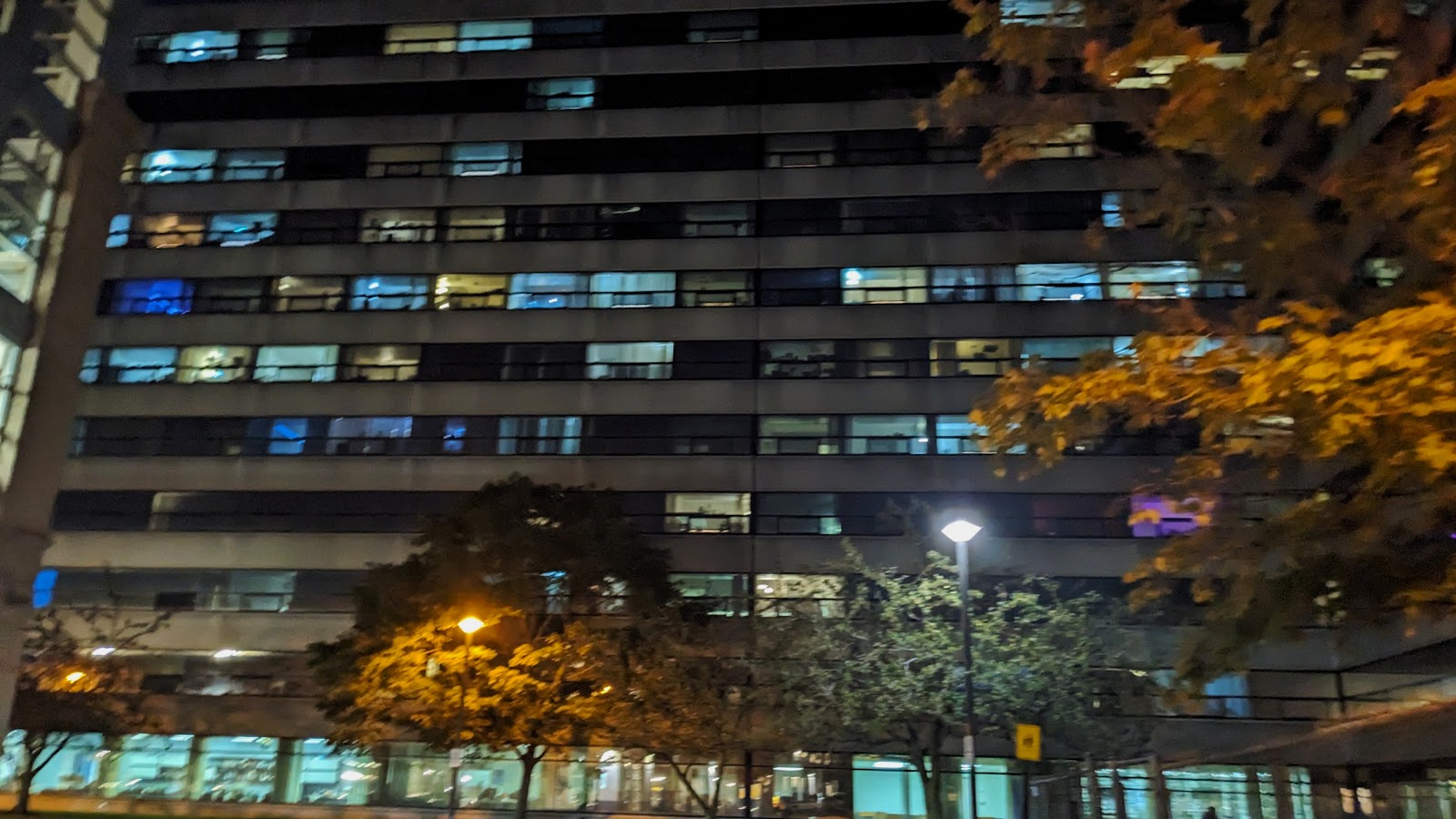 State University 2289