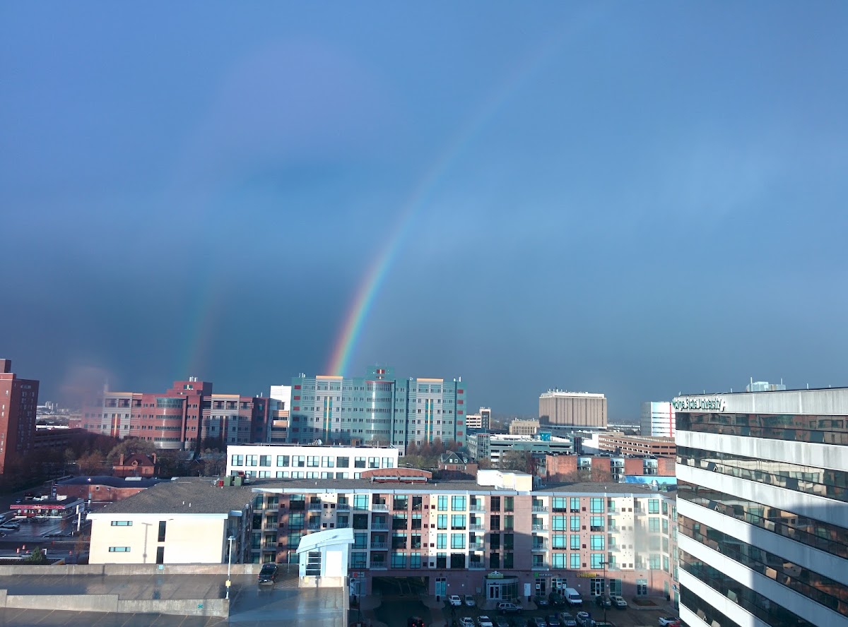 State University 2289 photo 3