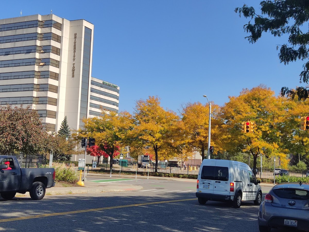 State University 2289 photo 4