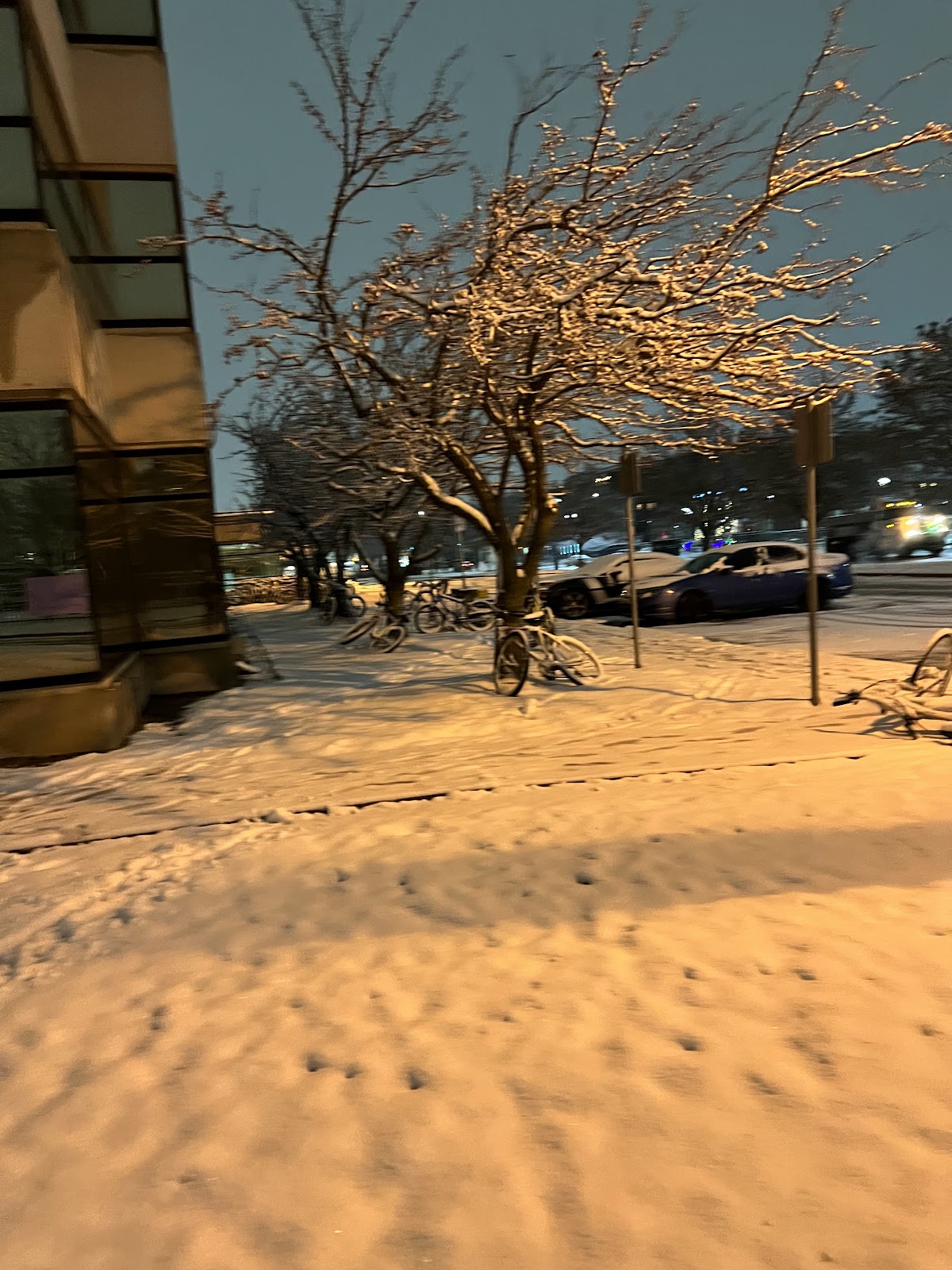 State University 2289 photo 6