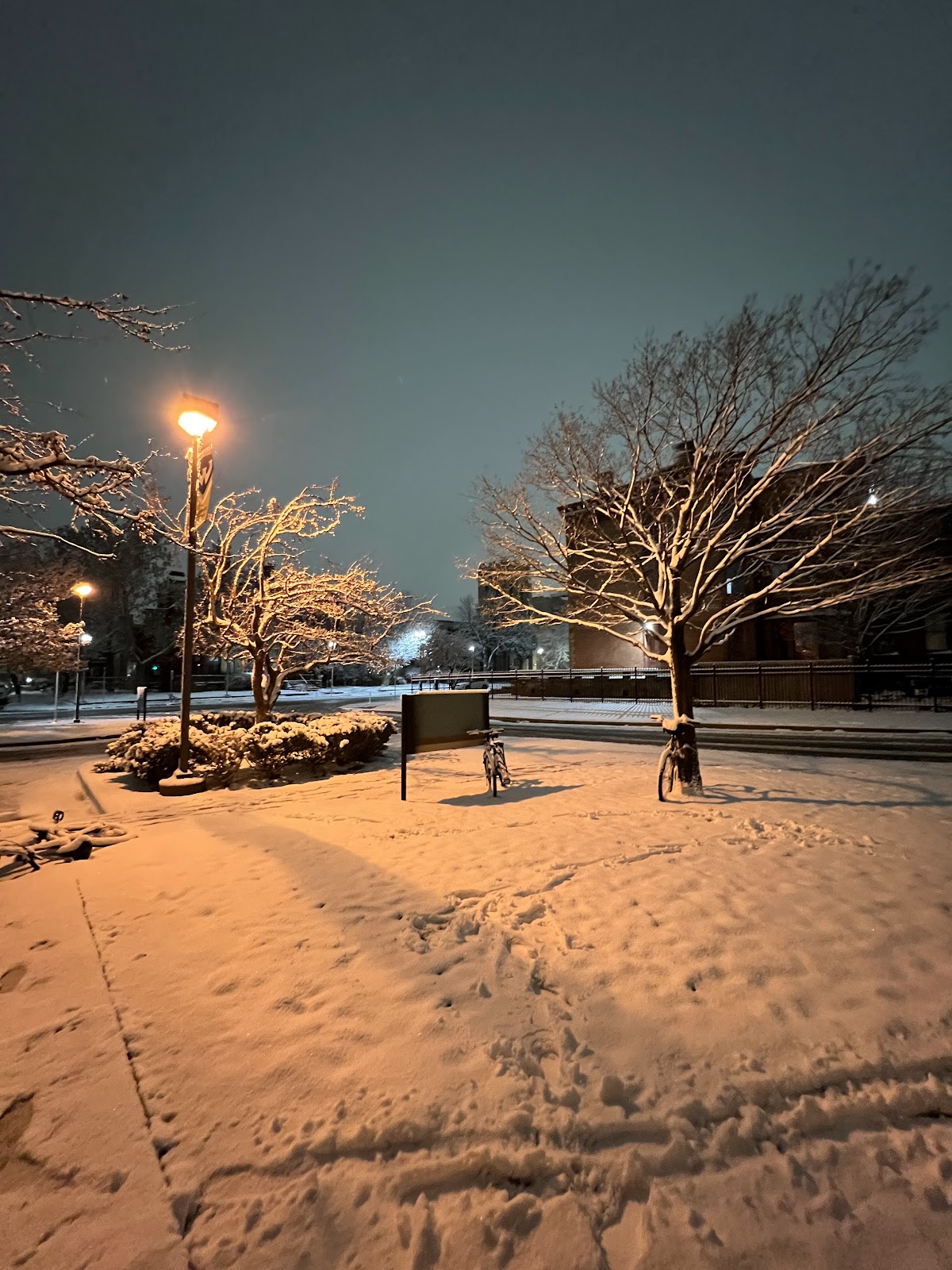 State University 2289 photo 8