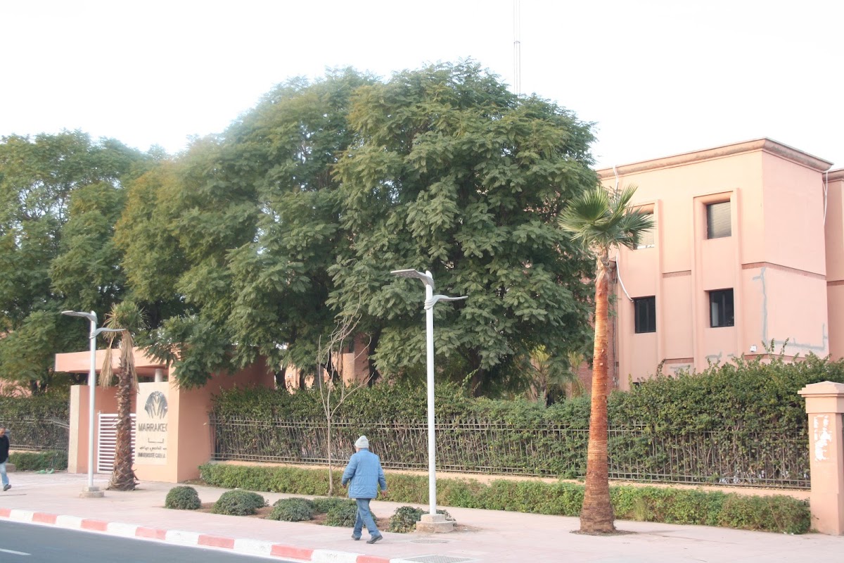 National School of Applied Sciences of Marrakech (ENSA Marrakech) photo 2
