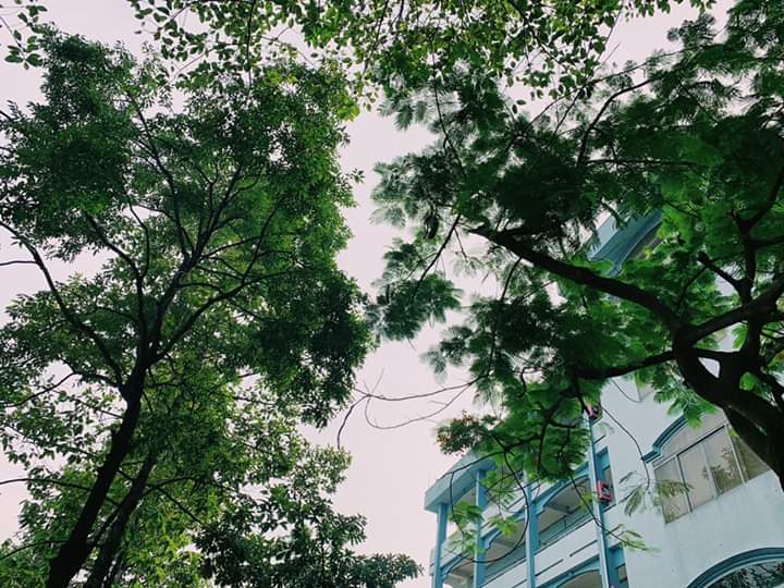 Lac Hong University photo 7