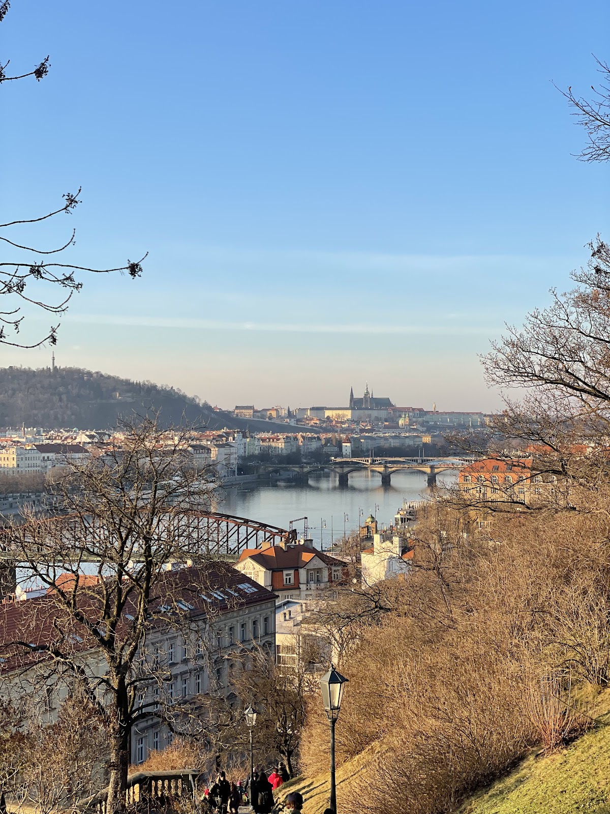 Archip - Architectural Institute in Prague photo 6