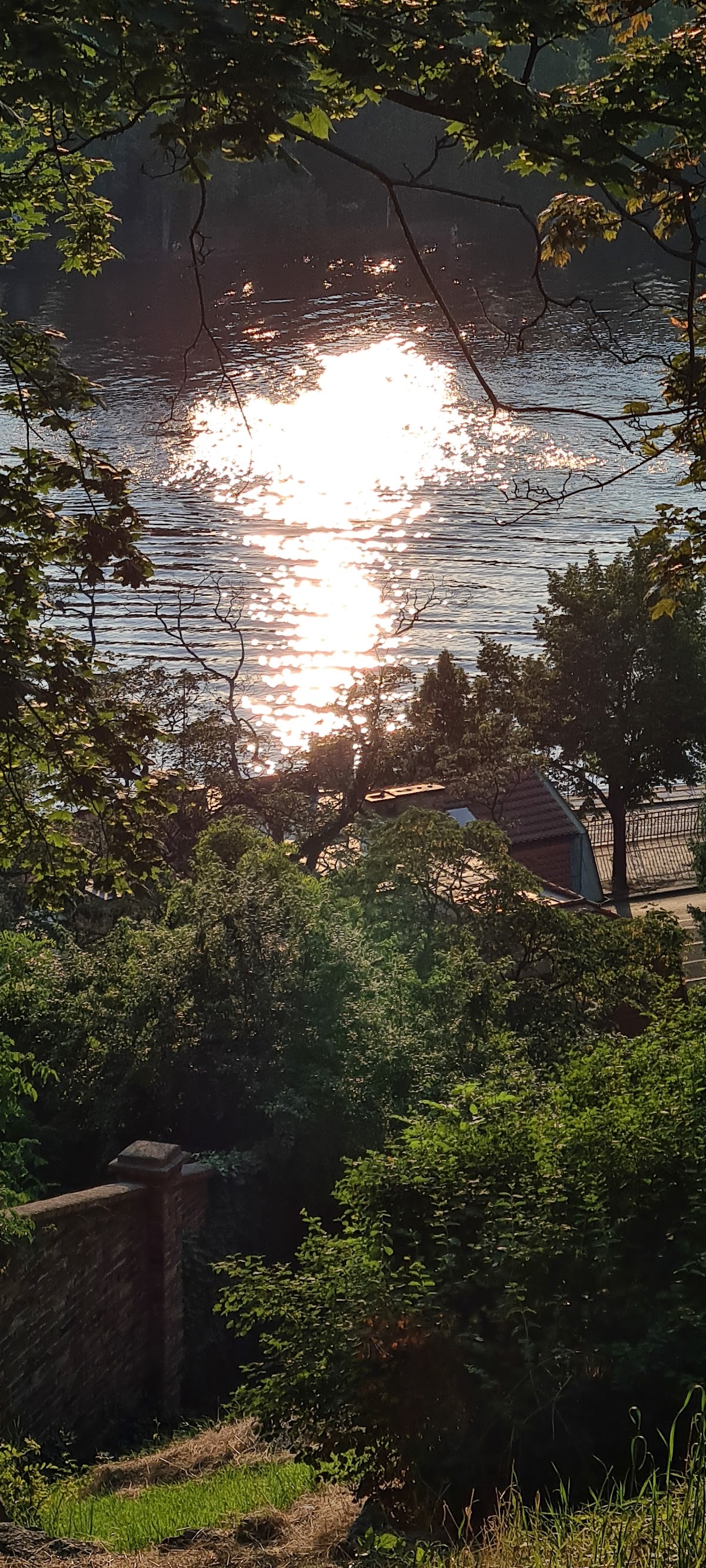 Archip - Architectural Institute in Prague photo 8