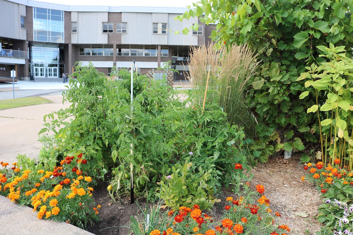 Collège Shawinigan photo 3