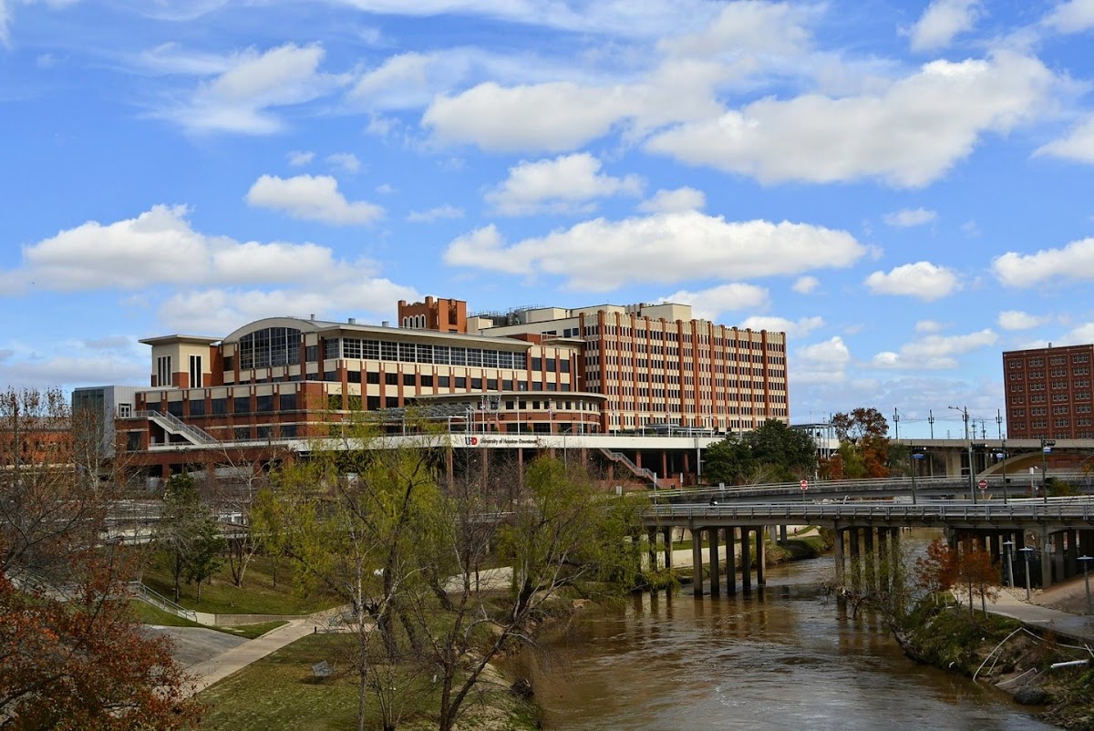 University of Houston-Downtown photo 8