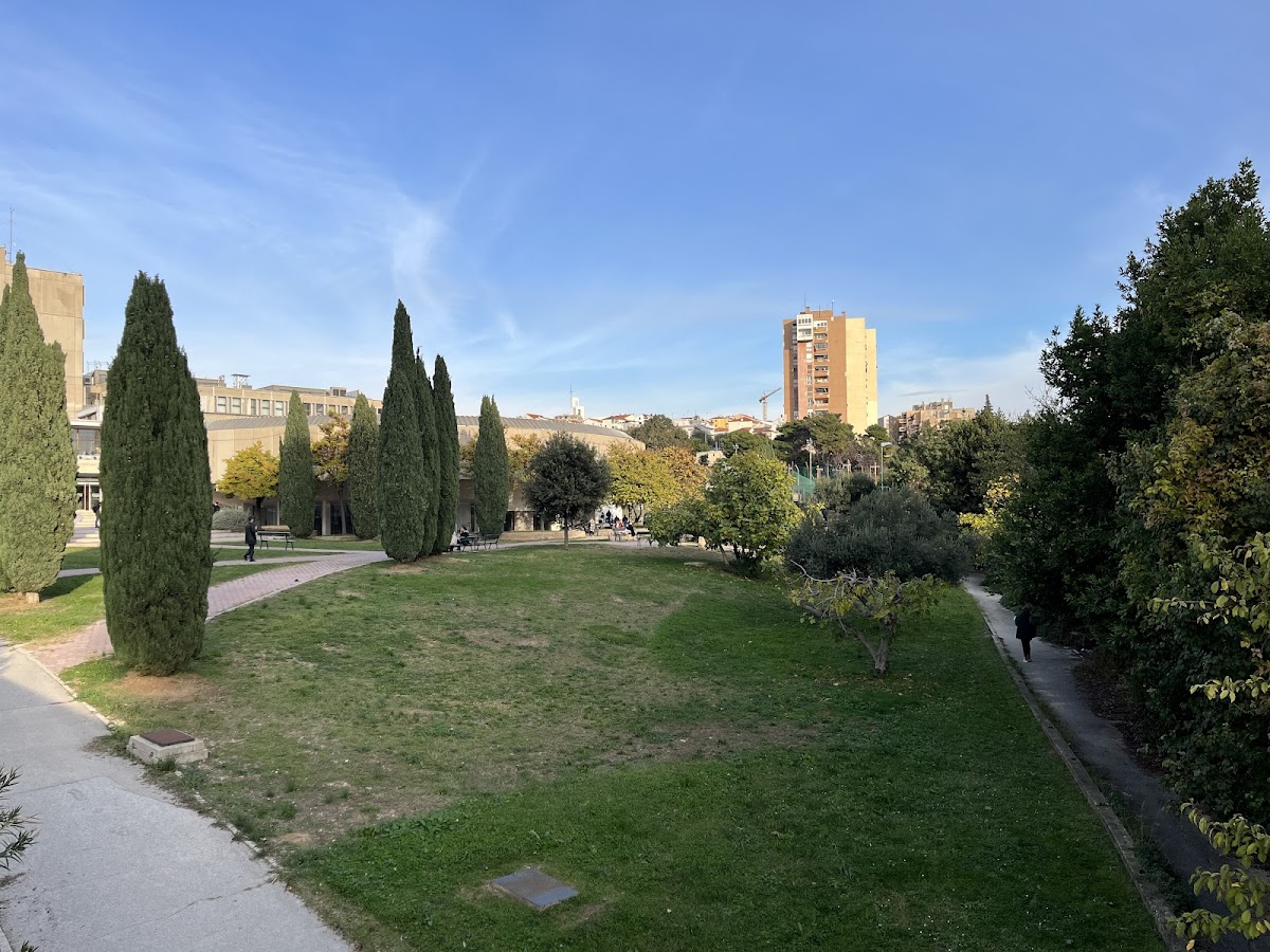 University of Split photo 6