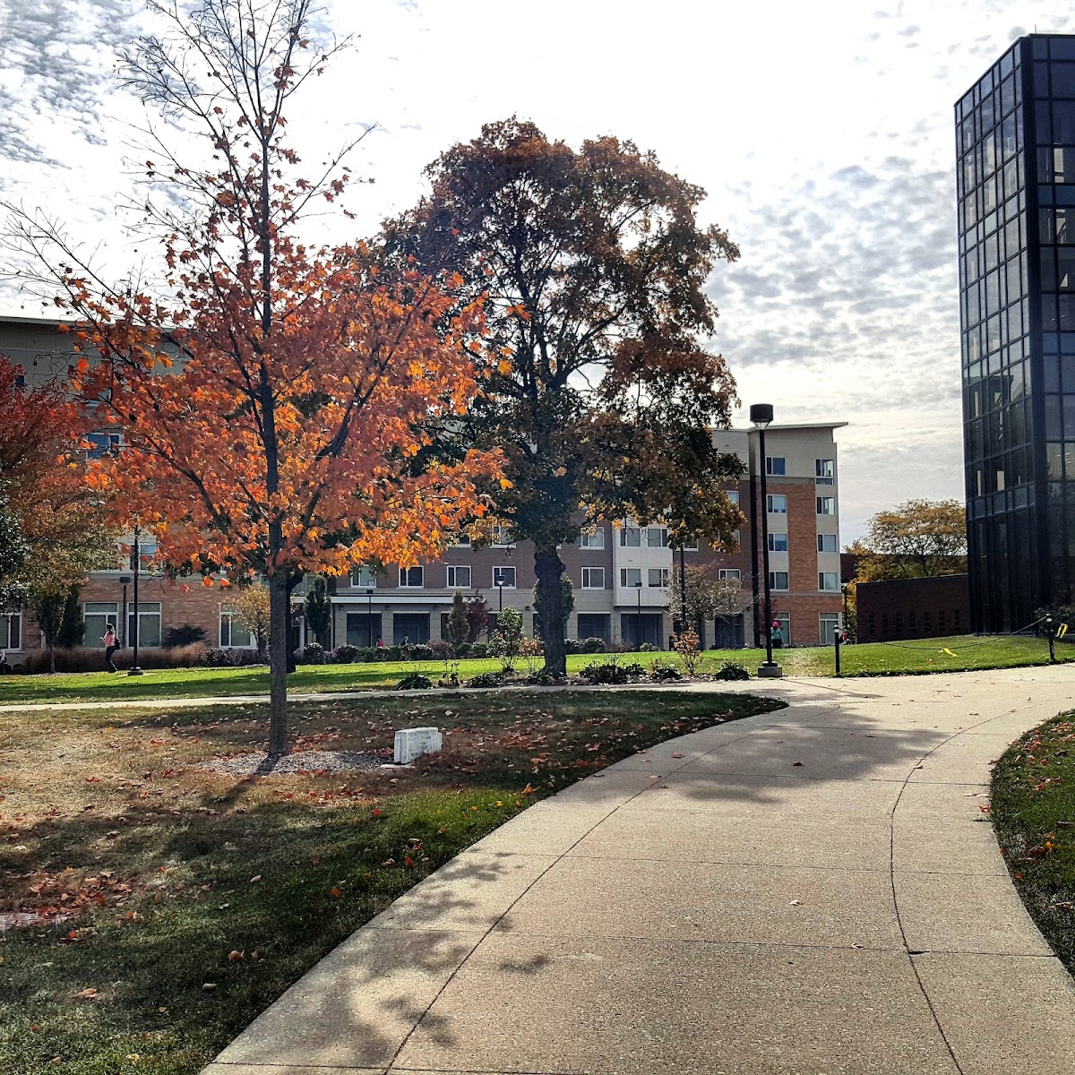 Bowling Green State University photo 8