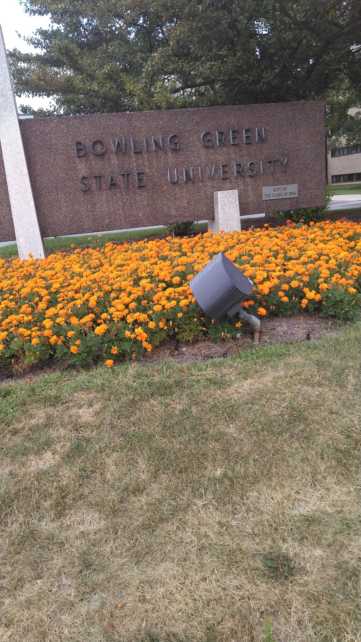 Bowling Green State University photo 9