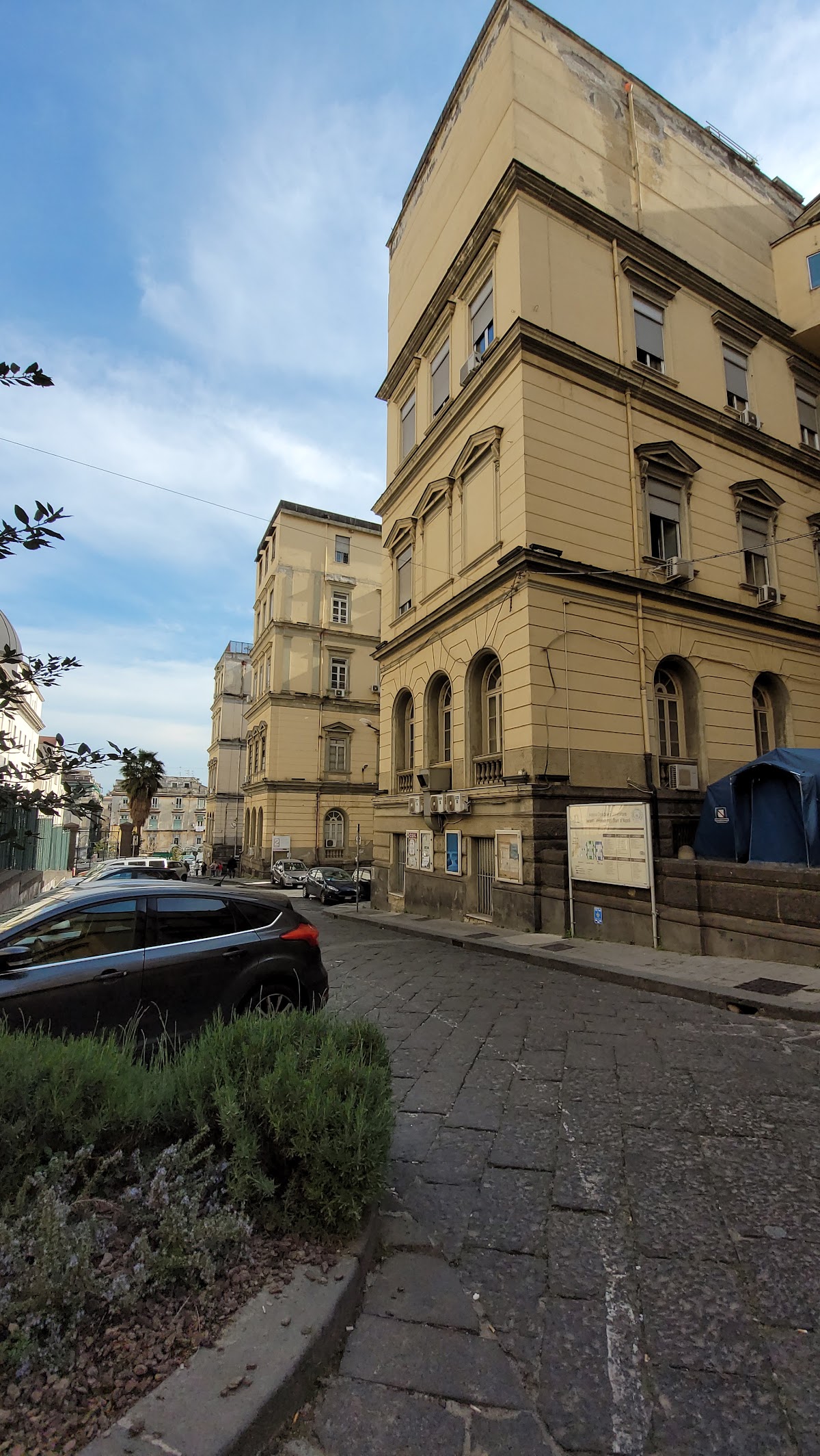 University of Campania Luigi Vanvitelli photo 7