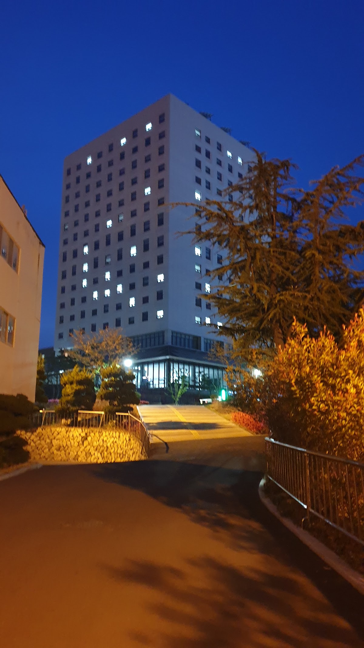 University of Ulsan photo 9