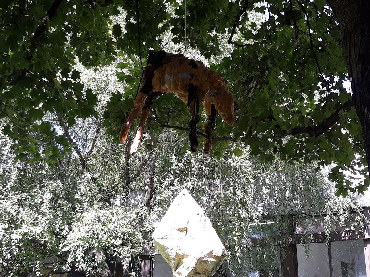 Kunsthochschule Mainz photo 5