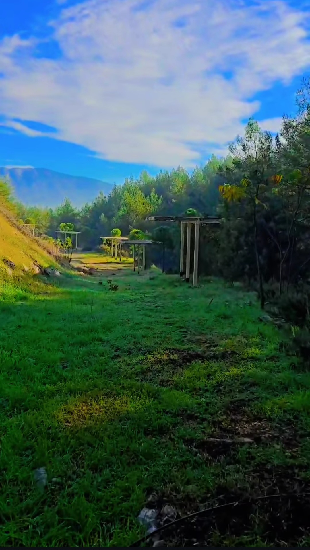 Muğla Sıtkı Koçman University photo 9