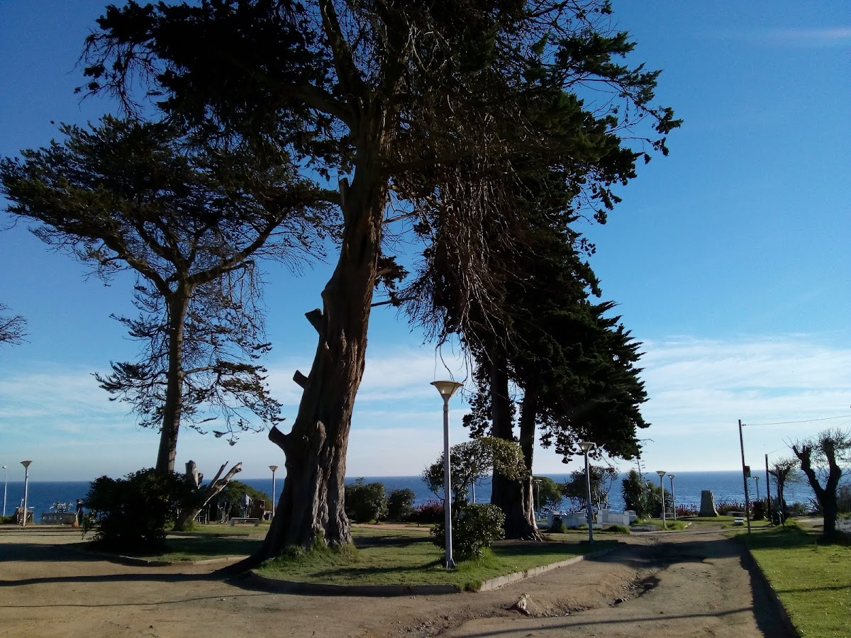 University of Valparaíso photo 2