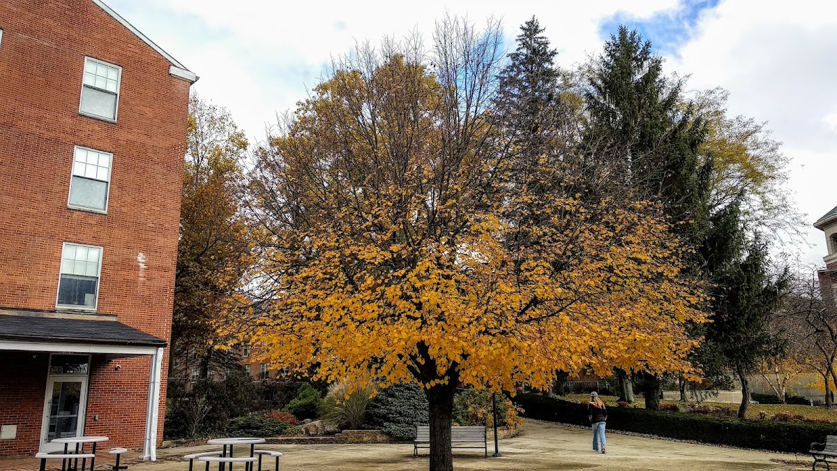 Earlham College photo 1