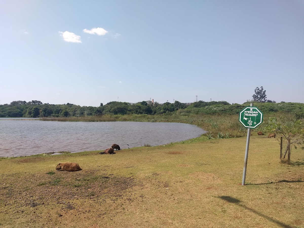 State University of Mato Grosso do Sul photo 4