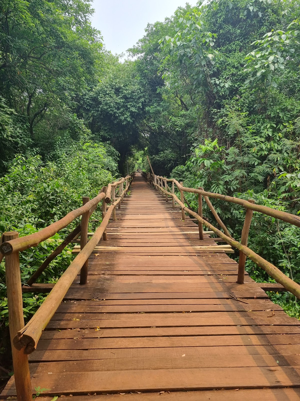 State University of Mato Grosso do Sul photo 9