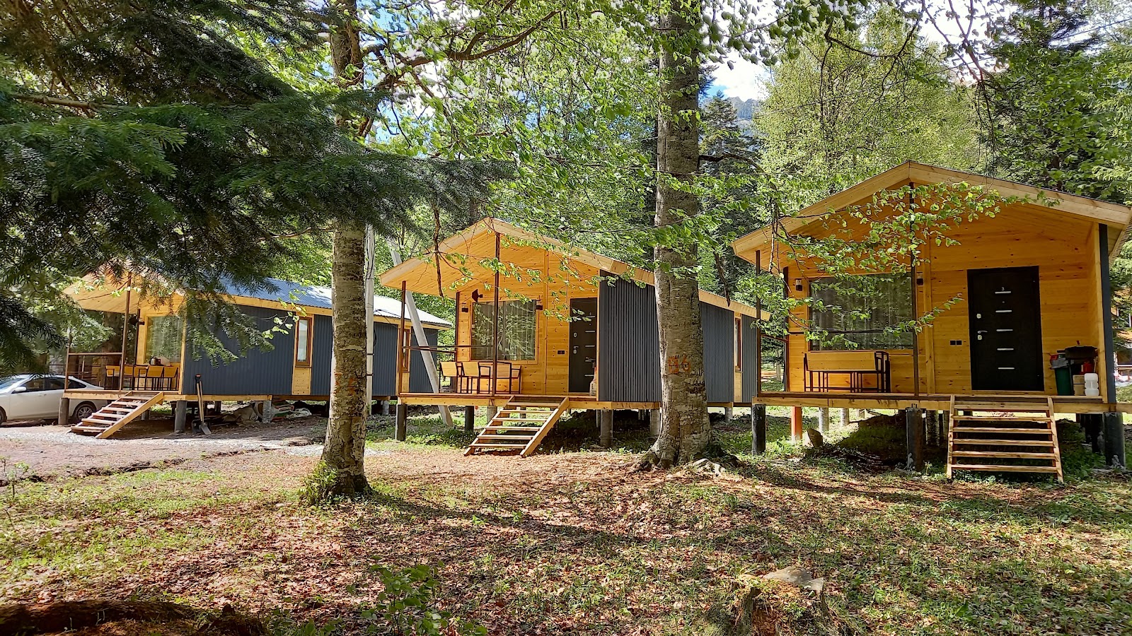 Krasnoyarsk State Agrarian University