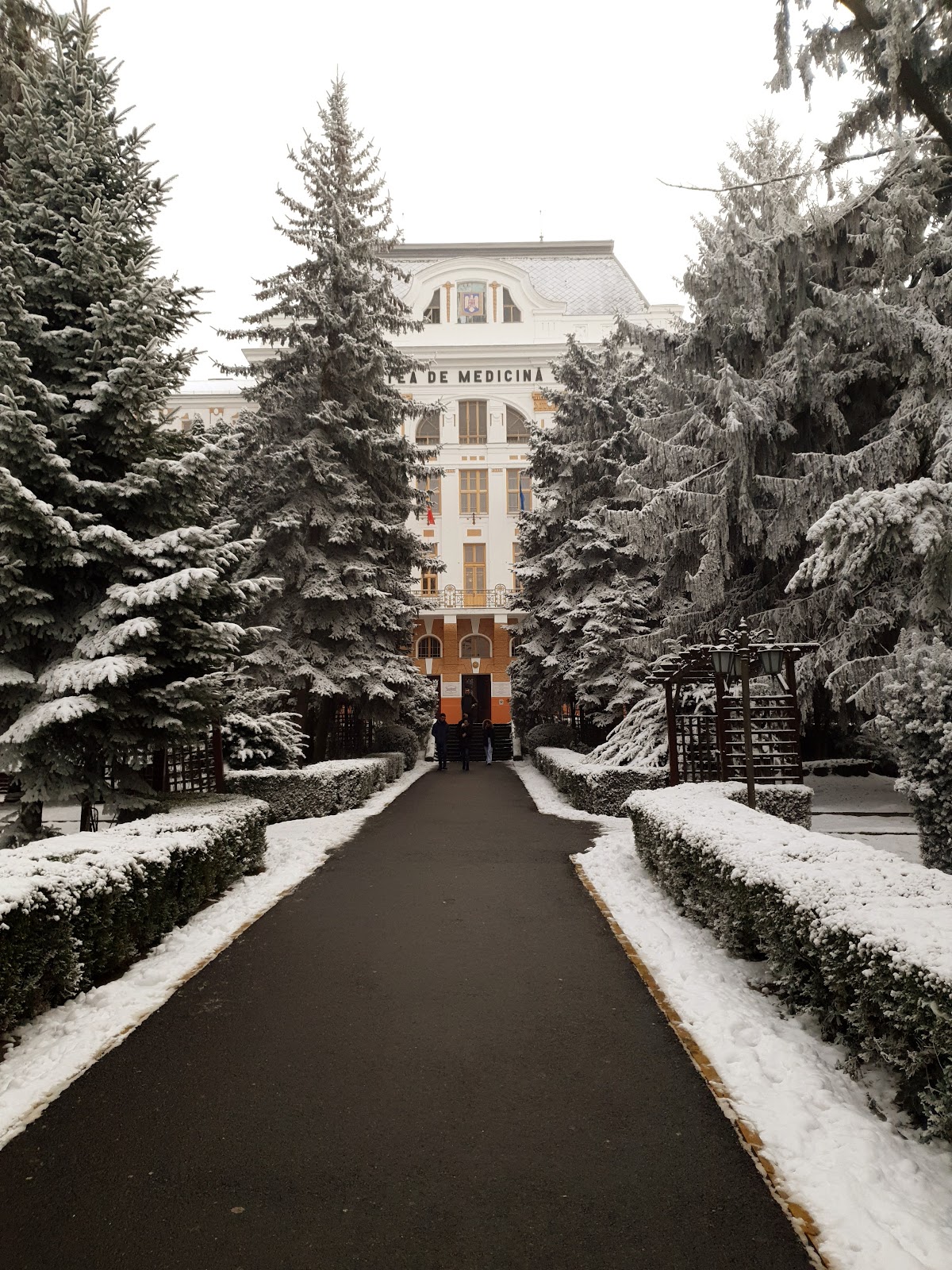University of Medicine and Pharmacy of Târgu Mureș photo 7