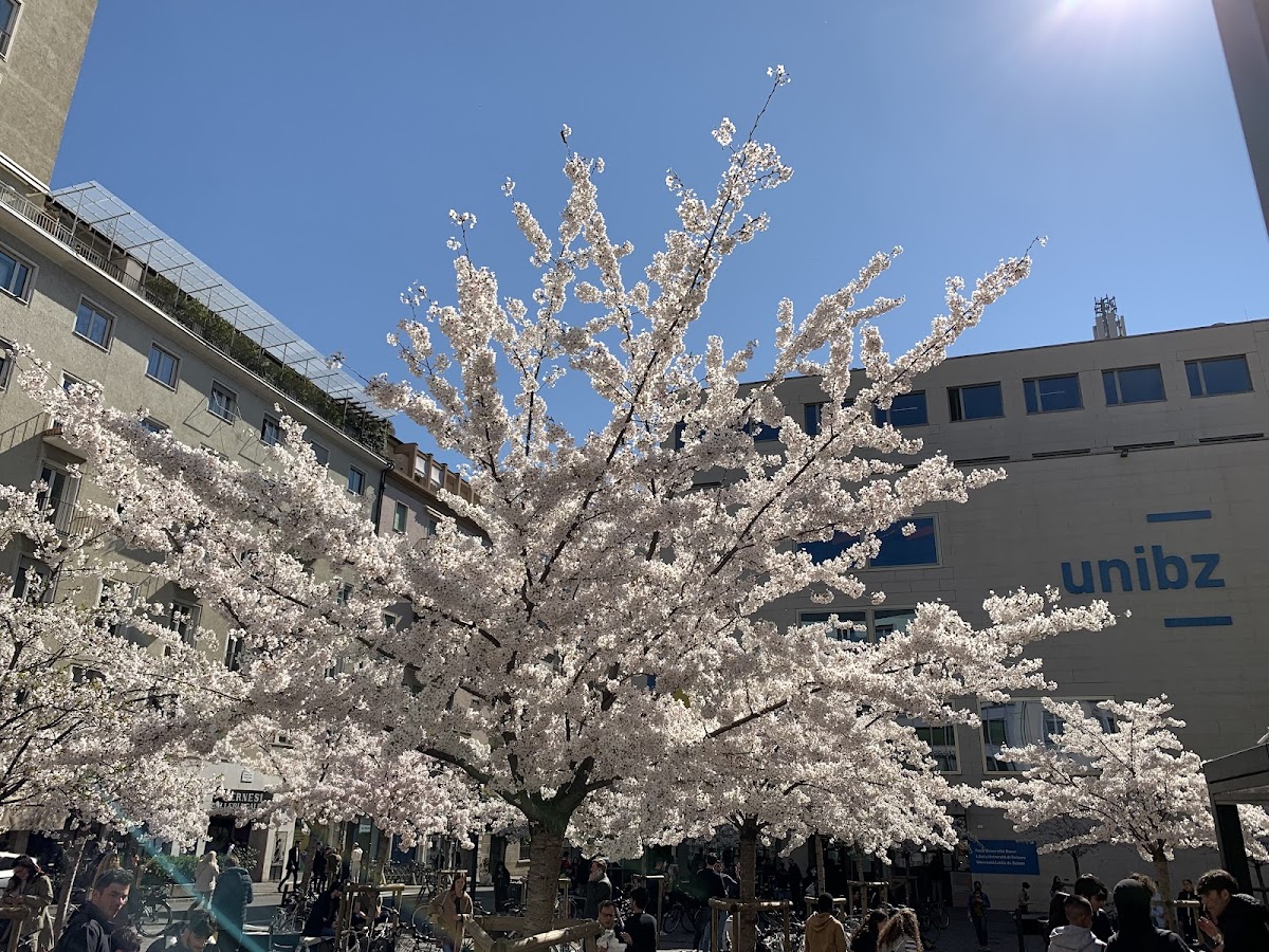 Free University of Bozen-Bolzano photo 5