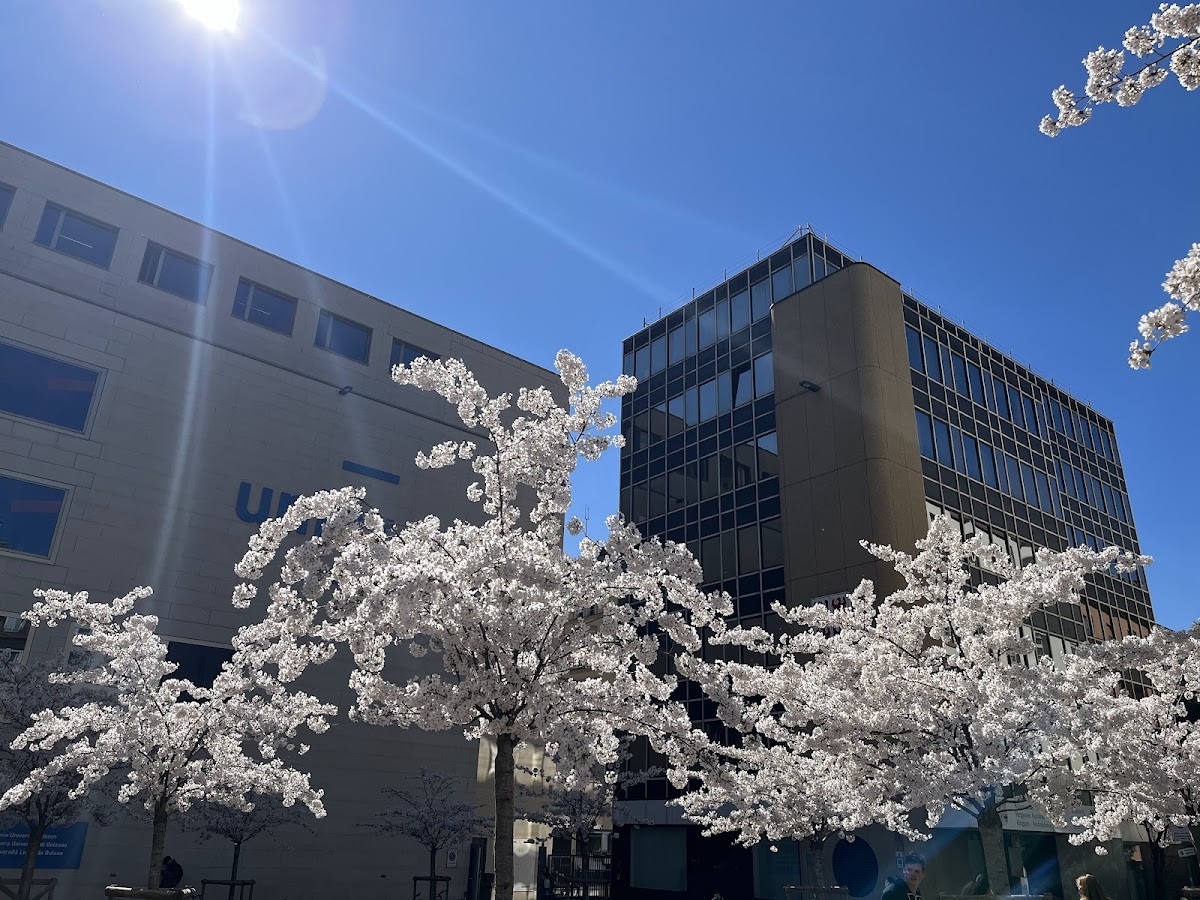 Free University of Bozen-Bolzano photo 7