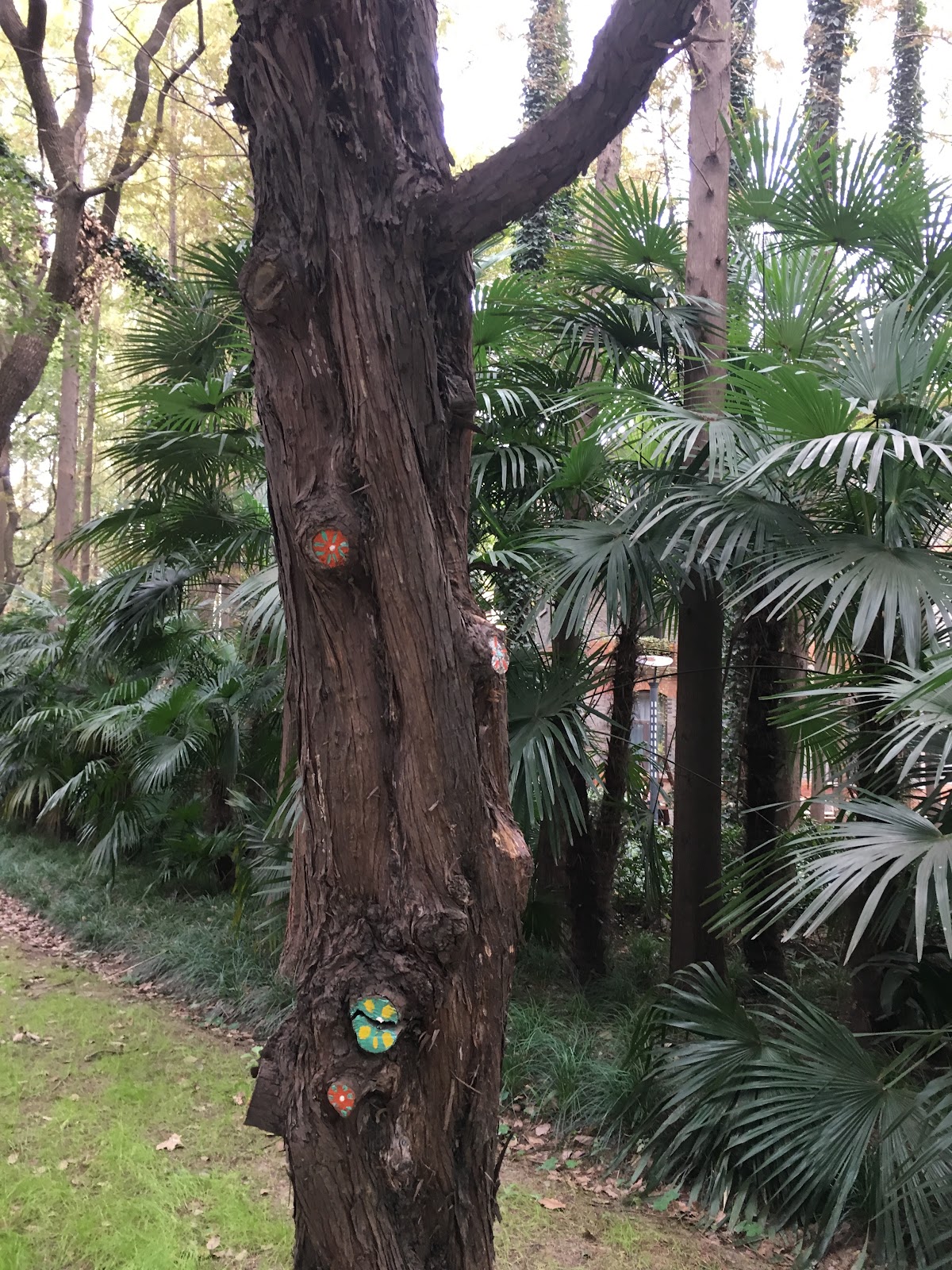 University of Shanghai for Science and Technology photo 8