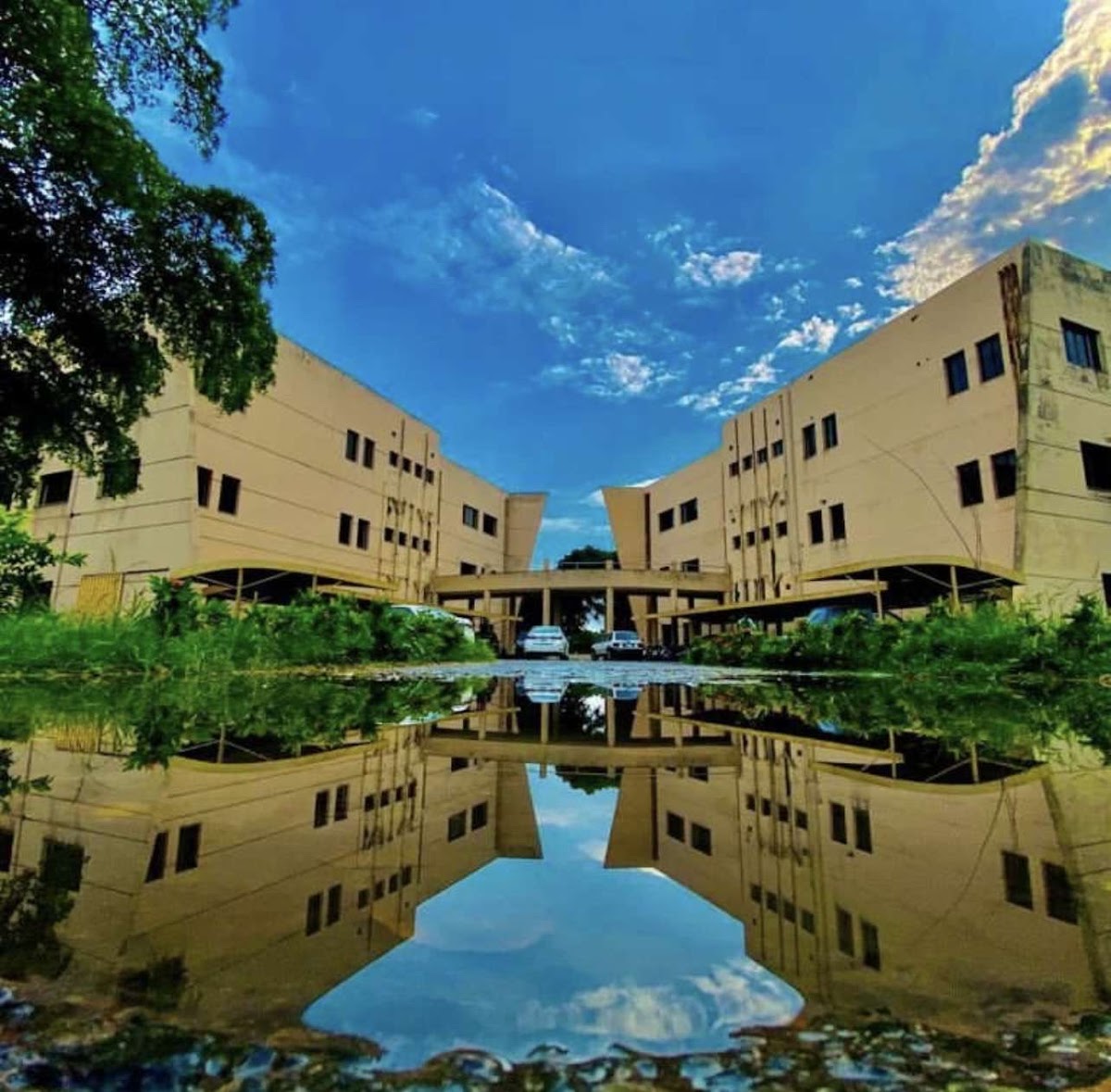 University of Gujrat photo 9