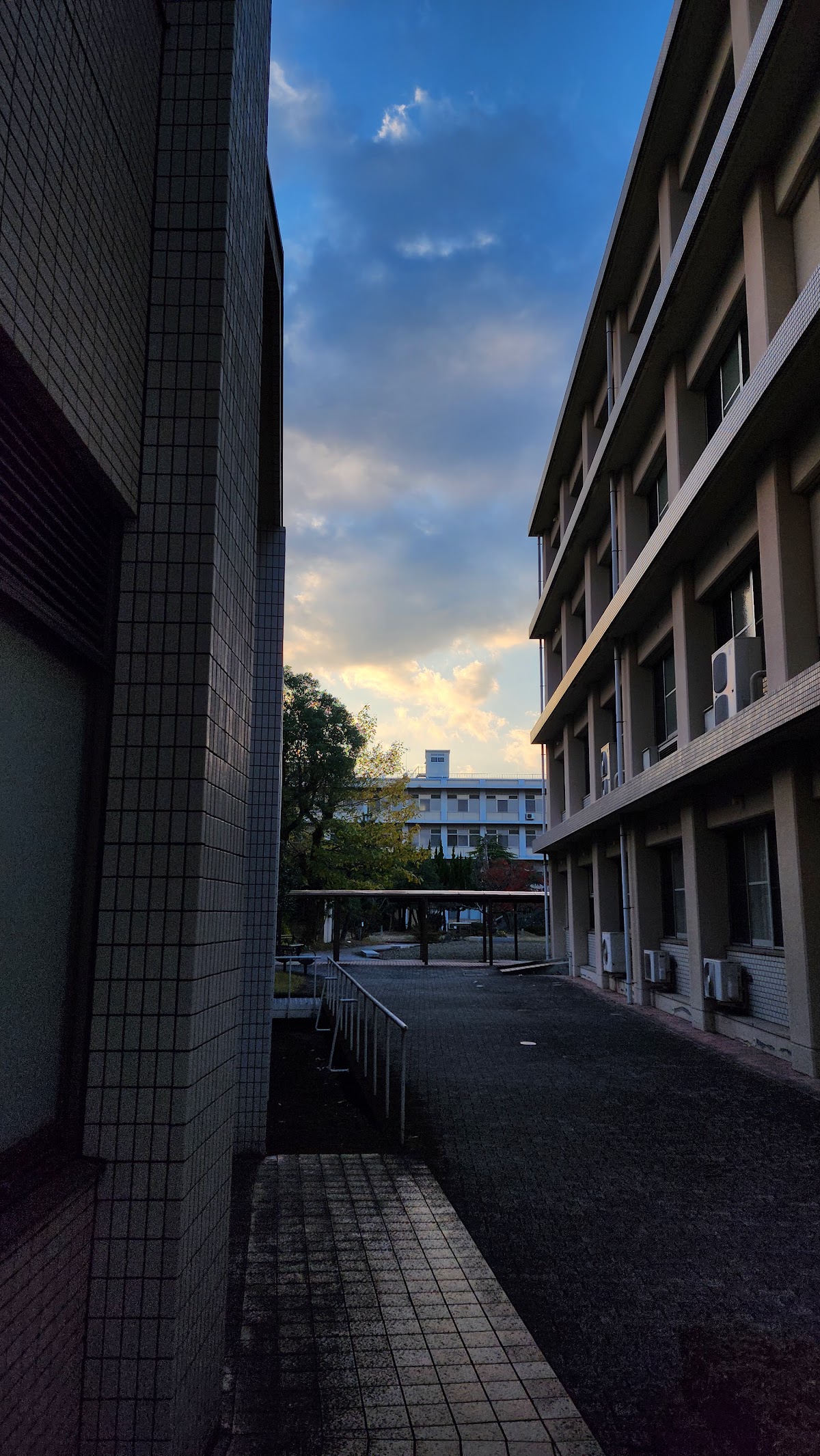 Oita University photo 9